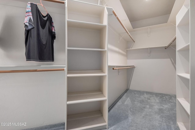 spacious closet with carpet floors