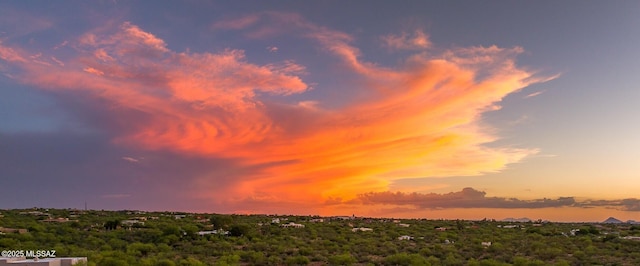 view of nature at dusk