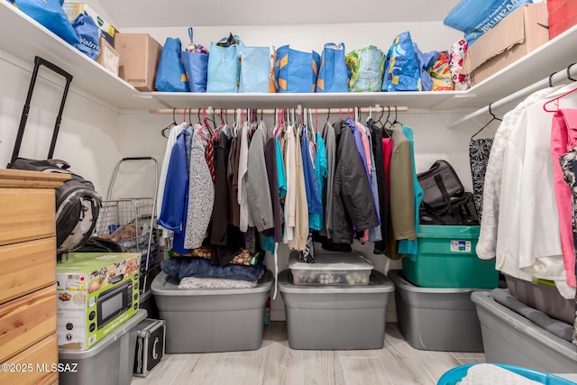 view of spacious closet