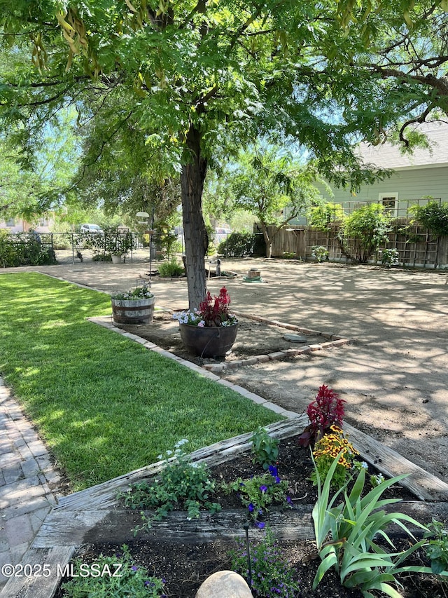 view of yard with a patio area