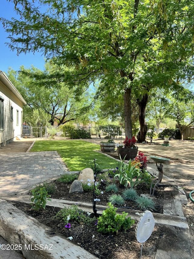 view of yard featuring a patio area