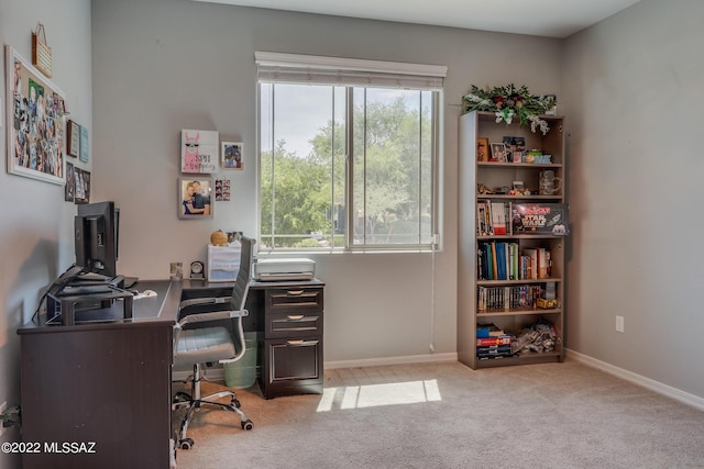 home office with light carpet