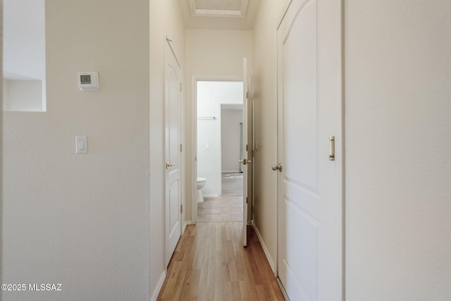 corridor featuring light hardwood / wood-style floors