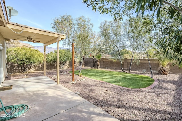 view of yard featuring a patio