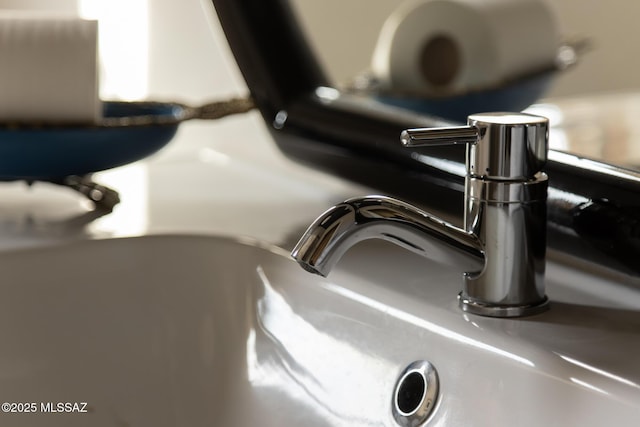 interior details featuring sink