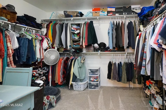 view of spacious closet