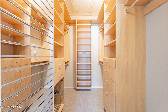 walk in closet with carpet