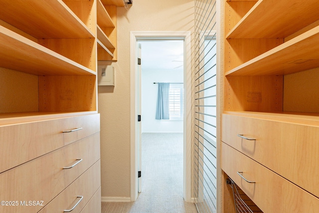 spacious closet featuring carpet flooring