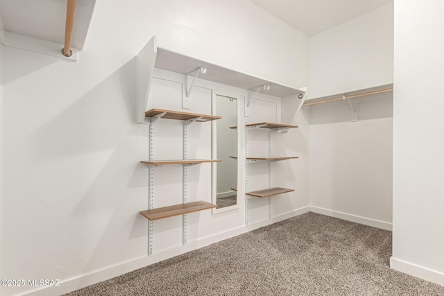 spacious closet with carpet flooring