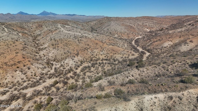 TBD Calle Coco 45, Rio Rico AZ, 85648 land for sale