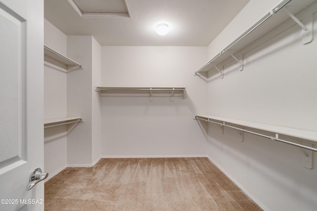 spacious closet featuring light colored carpet