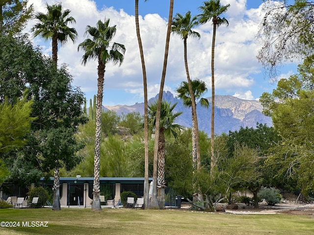 view of community with a mountain view and a lawn