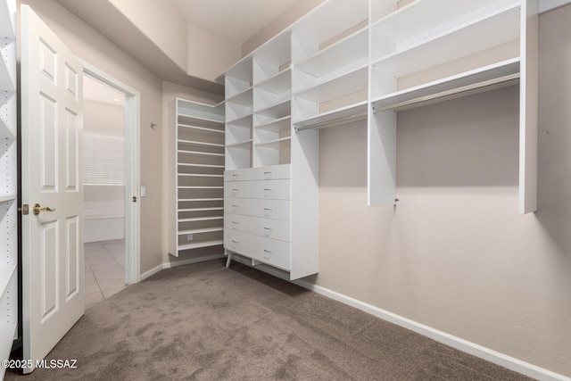 spacious closet with carpet