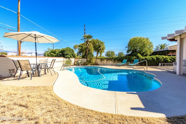 view of pool with a patio