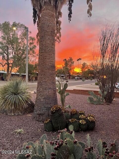 view of yard at dusk