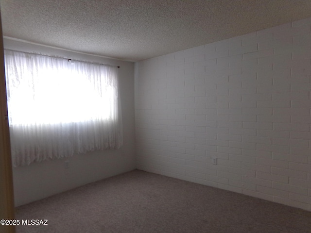 1377 S Desert Meadows Cir, Green Valley, AZ 85614 - carpeted empty room with a textured ceiling and concrete block wall