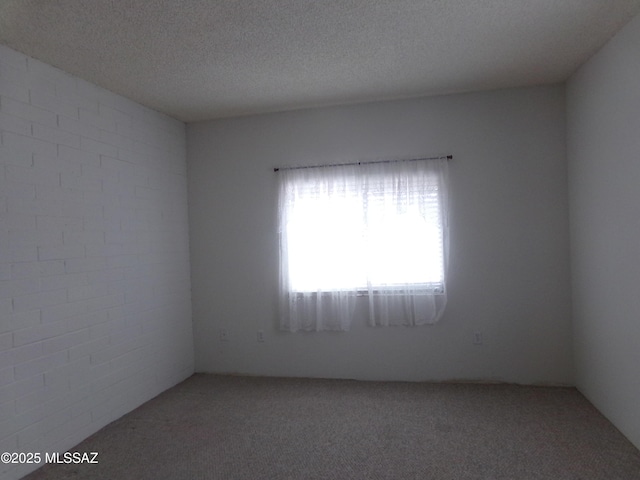 1377 S Desert Meadows Cir, Green Valley, AZ 85614 - empty room featuring carpet and a textured ceiling