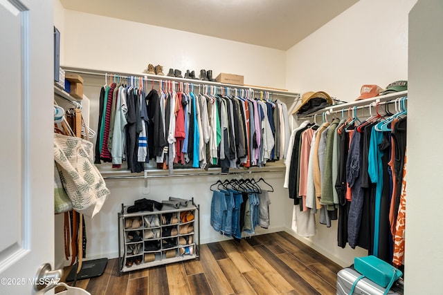 spacious closet with dark hardwood / wood-style flooring