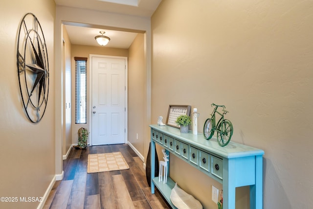 entryway with dark hardwood / wood-style floors