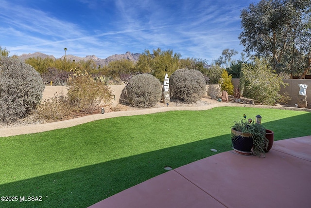 view of yard with a mountain view