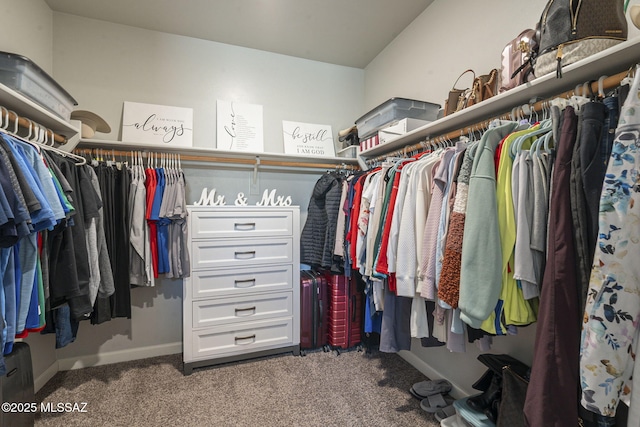 spacious closet with carpet flooring