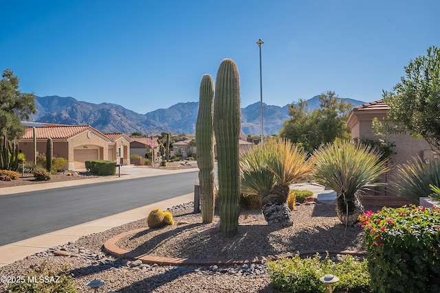 property view of mountains