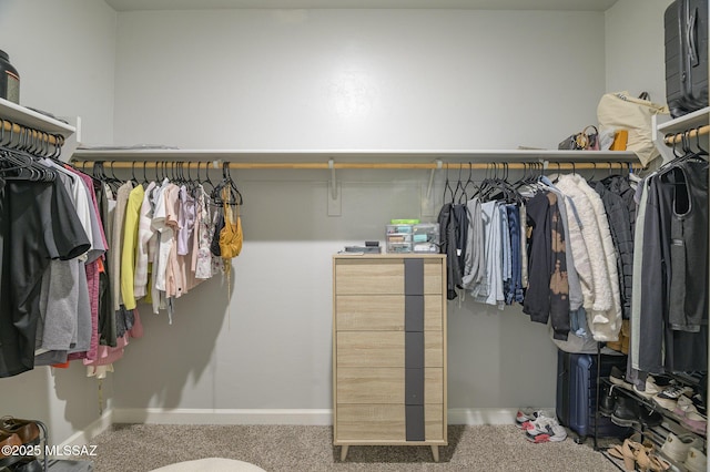 10139 N Sand Sage Trl, Marana, AZ 85653 - spacious closet featuring carpet floors