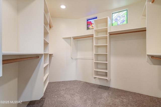 walk in closet with carpet