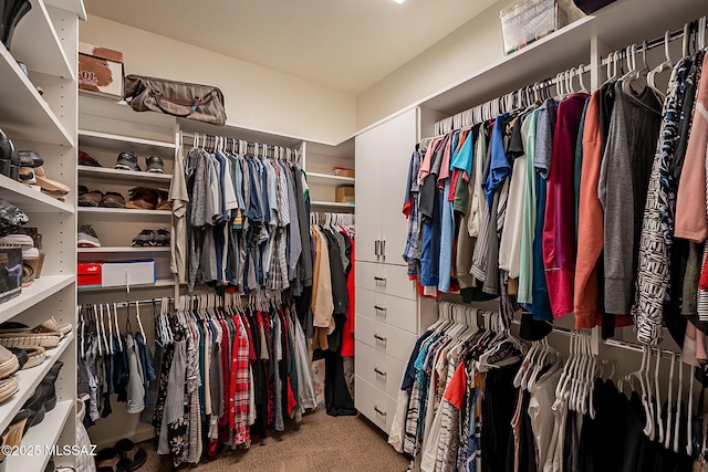 walk in closet with light carpet