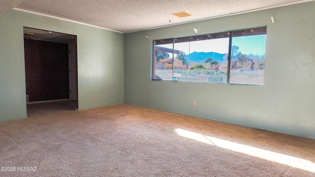 carpeted spare room with ornamental molding and a textured ceiling