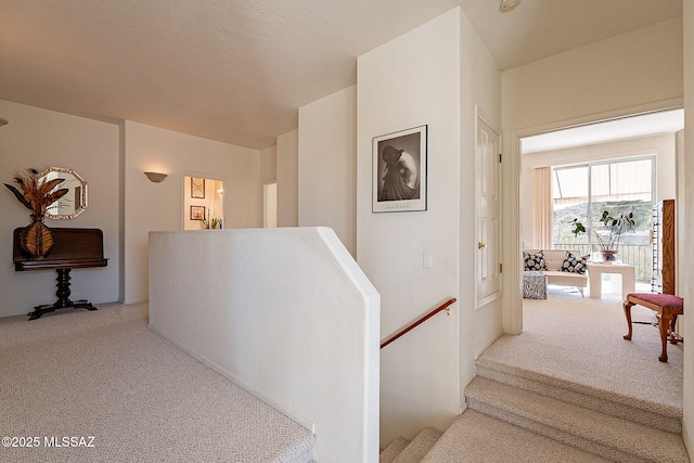 staircase with carpet flooring