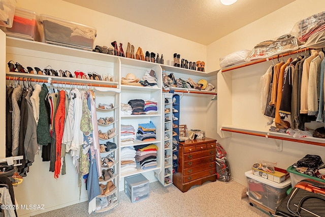 spacious closet featuring carpet floors