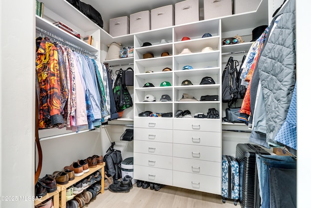 walk in closet with light wood-type flooring