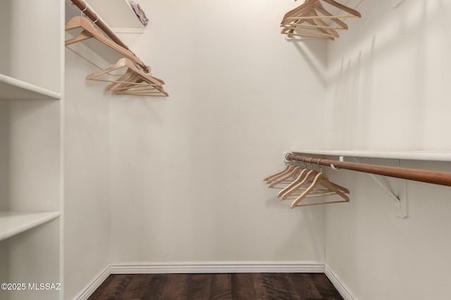 spacious closet with wood-type flooring