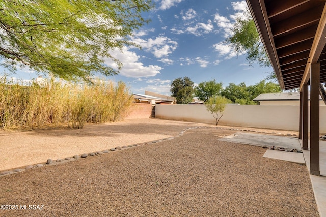 view of yard featuring a patio area