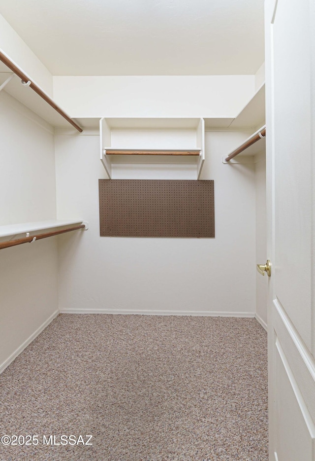 spacious closet featuring carpet floors