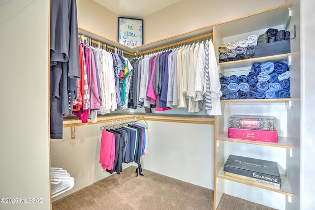 spacious closet featuring carpet flooring