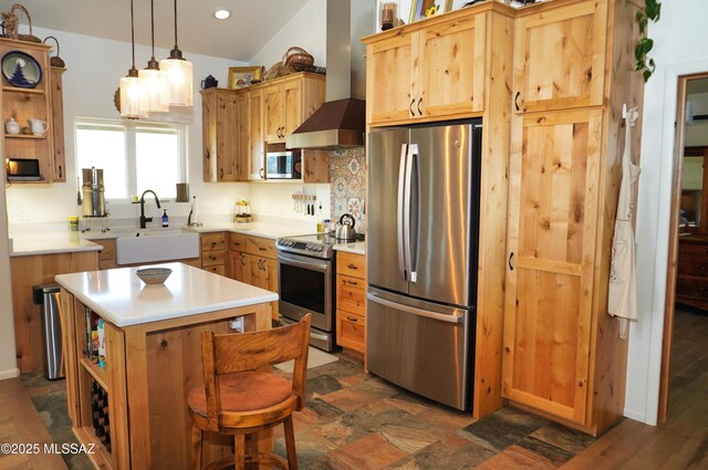 kitchen with sink, appliances with stainless steel finishes, a center island, ventilation hood, and decorative light fixtures
