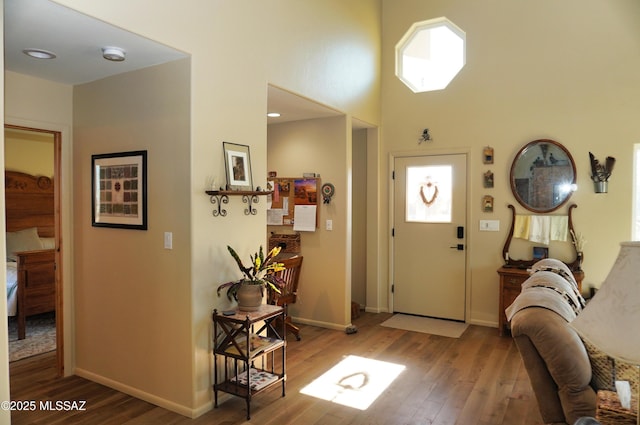 foyer with hardwood / wood-style flooring