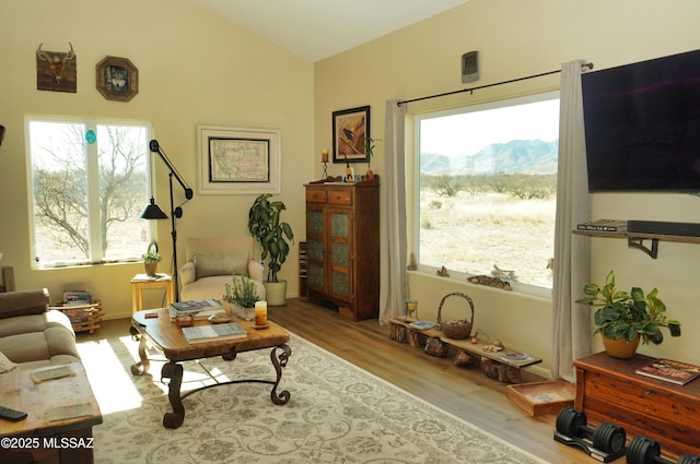 living room featuring hardwood / wood-style flooring, lofted ceiling, and plenty of natural light