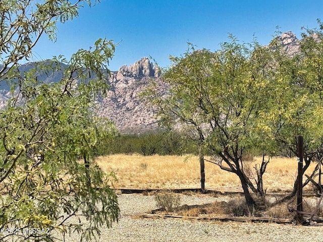 1155 N Dakotas Trl, Cochise, AZ 85606 - view of mountain background