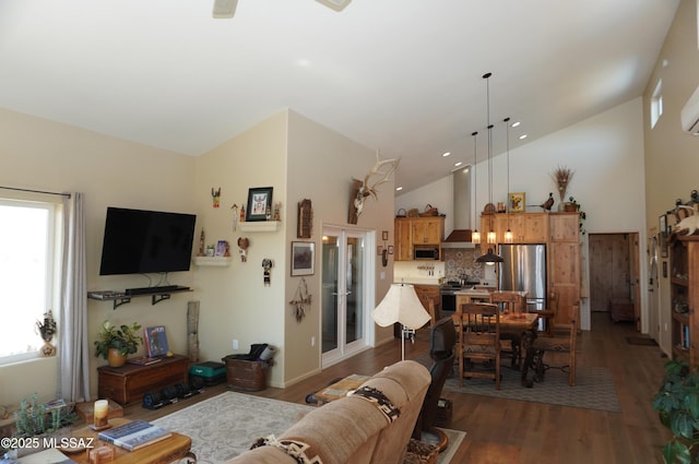 living room featuring dark wood-type flooring and high vaulted ceiling