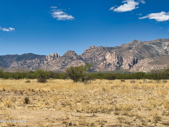 1155 N Dakotas Trl, Cochise, AZ 85606 - mountain view