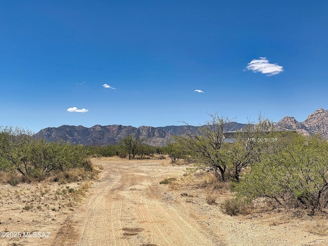 1155 N Dakotas Trl, Cochise, AZ 85606 - mountain view