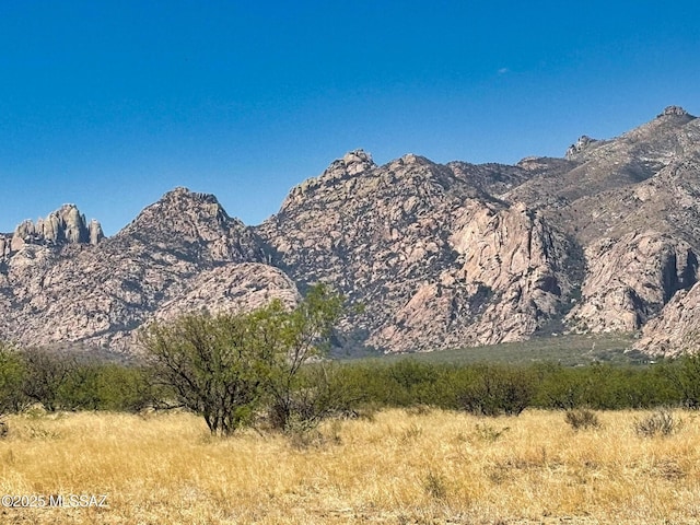 1155 N Dakotas Trl, Cochise, AZ 85606 - mountain view
