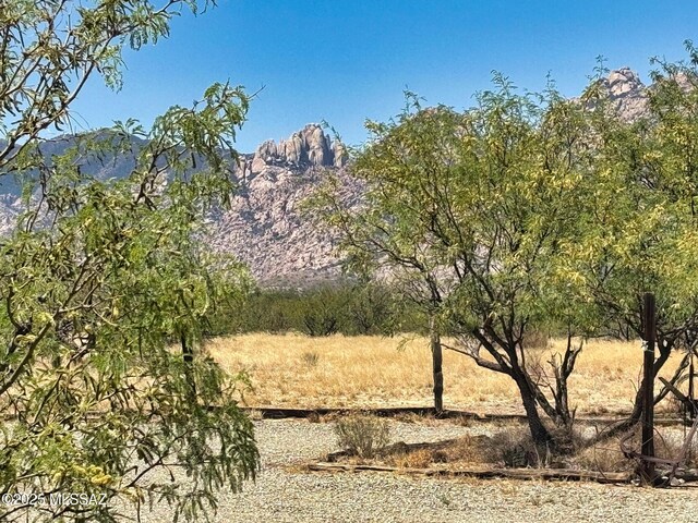 1155 N Dakotas Trl, Cochise, AZ 85606 - view of undeveloped land