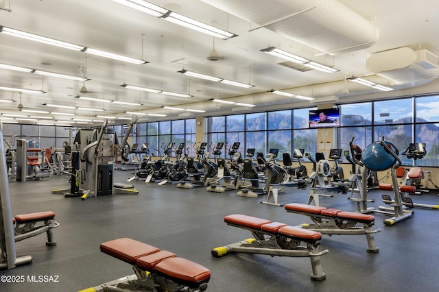 exercise room featuring floor to ceiling windows