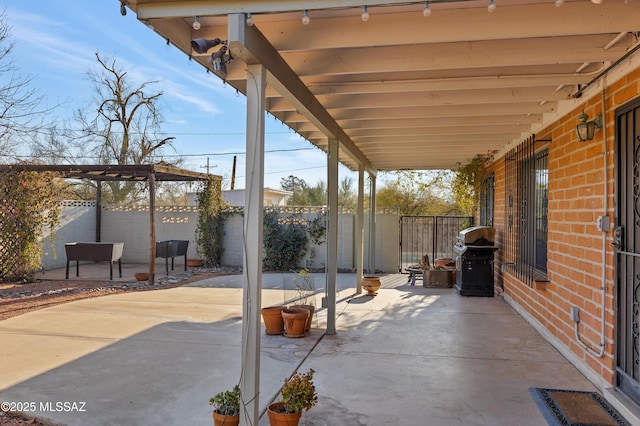 view of patio / terrace featuring grilling area