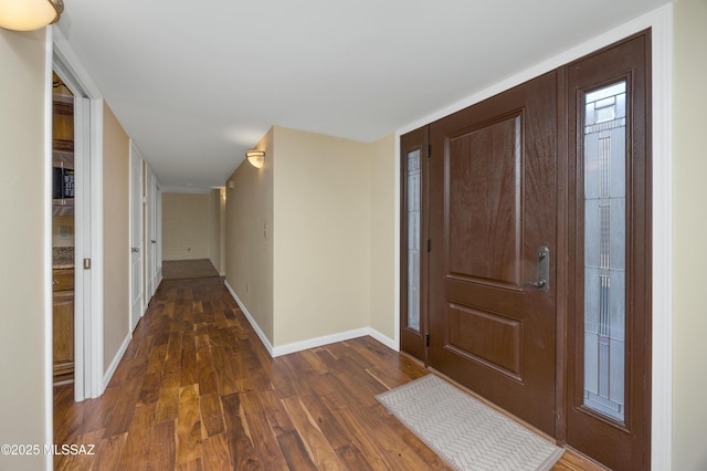 entrance foyer featuring dark wood-type flooring