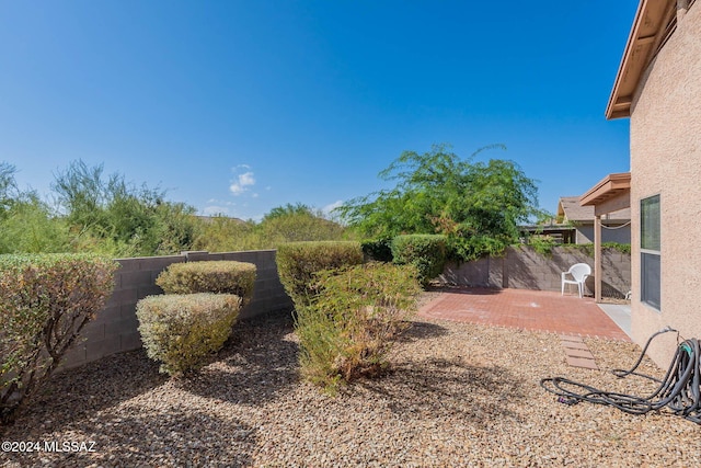 view of yard with a patio